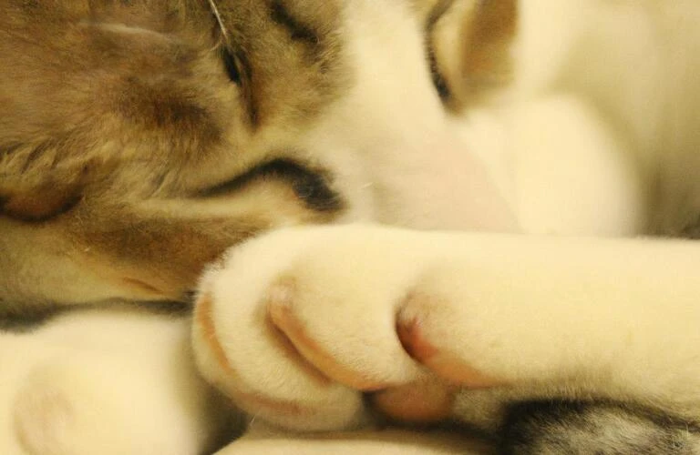 「あなたの体に寄り添う、眠りの力。」